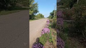 Бензопила "Партнёр" на велосипед.