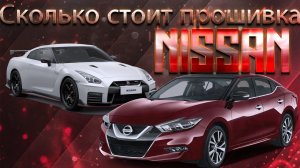 Ниссан-мастер Новосибирск. Сколько стоит прошивка на Nissan.