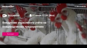 Птицеводство. Внедрение отраслевого учёта на предприятиях