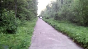 Итальянская Эстрада с высочайшей детализацией,громкостью и качеством FaitalPro