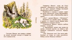 Бианки В. - Первая охота - ЧИТАЕМ ВМЕСТЕ