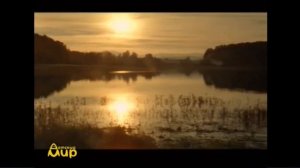 Заставка В Гостях У Сказки(Детский Мир 28.07.2019 17:05 МСК).