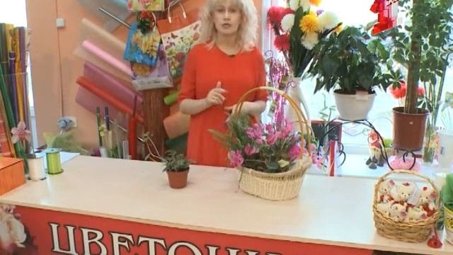 Цветочные истории. Что делать с цикломеном весной и летом