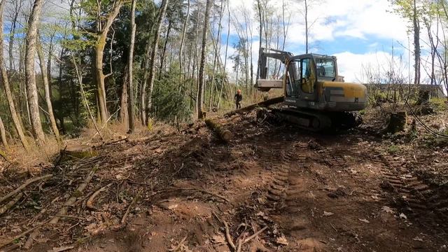 DISCOVERING the Chateau's ORIGINAL PARKLAND! | How our restoration is uncovering lost history 🏰 смотреть онлайн