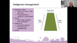 Charnwood Forest Species Recording and Identification Session 4: Hedgerows