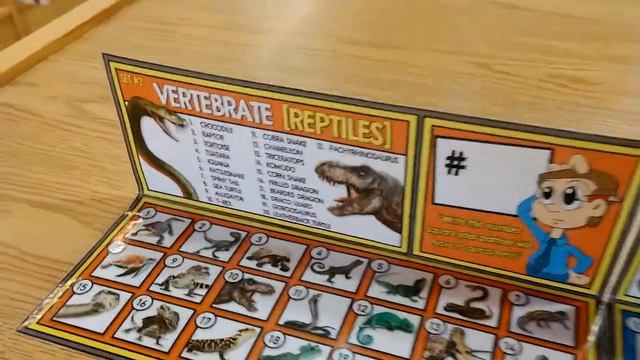 ANIMAL CLASSIFICATION "GUESS WHO" CLASSROOM GAME смотреть онлайн