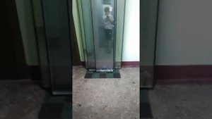 два лифта ECOMAX