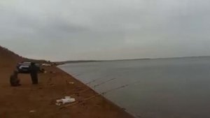 Шардаринское водохранилище 03.02.20