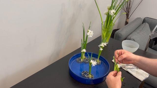 1.4 Ikebana Moribana Narcissus смотреть онлайн