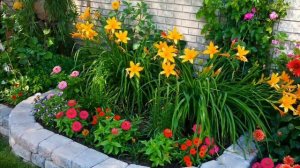 Красивые клумбы на любимой даче