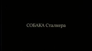 СОБАКА СТАЛКЕРА