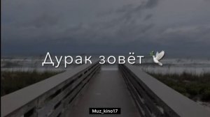 Ты полюбила дурака вновь ?