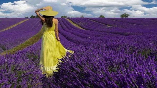 #Svetlana_Nigmatzyanova КАК ЖЕ ХОЧЕТСЯ В ЛАВАНДЕ ПОТЕРЯТЬСЯ смотреть онлайн