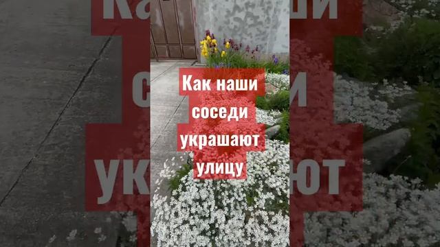 КРАСИВО ПЕРЕД ДОМОМ, это не про деньги- это о человеке #дача #клумба