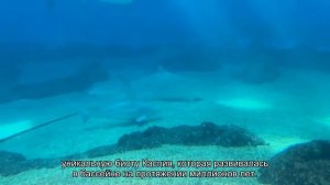 Спасти невозможно. Почему Каспийское море точно исчезнет