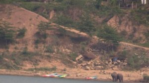 ЛАОС. РЕКА МЕКОНГ. СЛОНЫ (Laos)