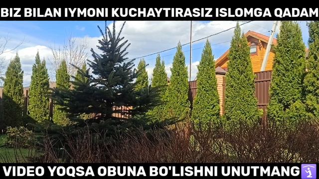 ҚАБРИСТОНДА БЎЛАЙОТГАН ИШЛАР АСТОФУРИЛЛОХ  Солихон домла Solixon domla