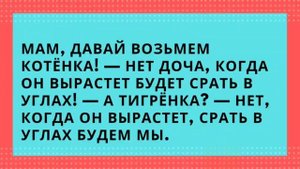 Анекдоты. Смешно до слёз!