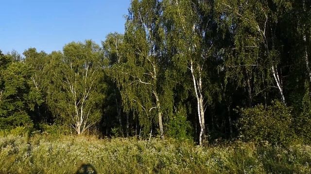 Участки ИЖС у реки Ока на опушке леса. Ул.Небесная, д.Воронино Ферзиковского р-на Калужской обл. смотреть онлайн