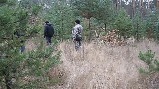 Расчистка леса, Боровая , Ноябрь 2014. часть 2 смотреть онлайн