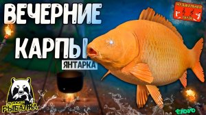 РР4/ рыбалка для души, ловим как универсал, общаемся 23.11.23