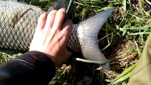 Инской канал(амурчик 5.100) смотреть онлайн