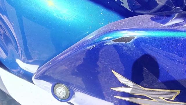 Отзыв о компание Euro Moto,мотоциклы из Европы