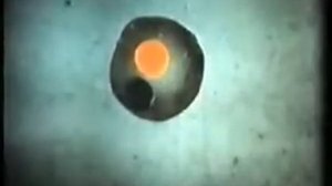 Появление пробионтов в процессе  эволюции