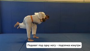 Варианты комбинаций в дзюдо.