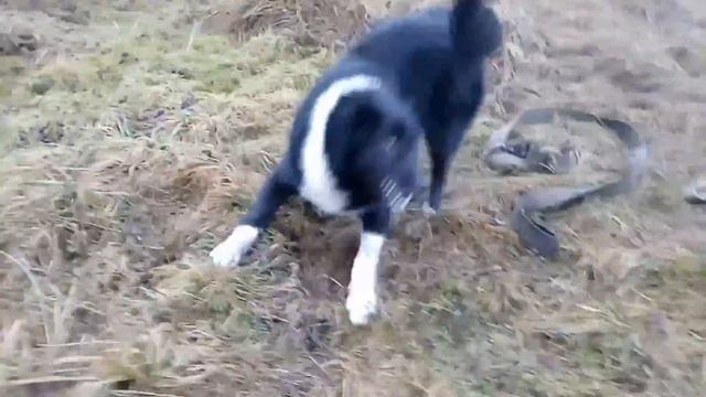 Агир 5 месяцев. смотреть онлайн