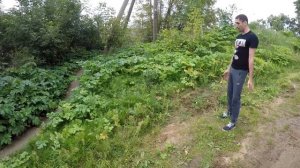 Лучший культиватор с реверсом 60 кг. за 15 990 руб.