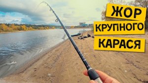 ЖОР КРУПНОГО КАРАСЯ ОСЕНЬЮ!!! Рыбалка на донки. Ловлю карасей и потом их готовлю.