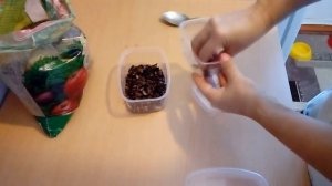 5 часть. Семена на проращивание после стратификации, плесневевшие
