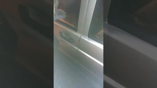 как открыть(вскрыть) уаз патриот со штатным замком без ключей смотреть онлайн