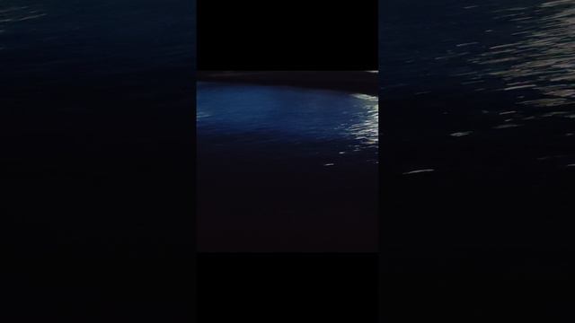 Море на Массандре.mp4