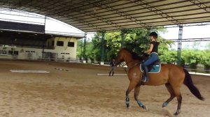 Русский поселок в Таиланде, конюшня рядом с поселком - Chomview Horse Riding Club Jumping lesson 