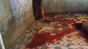 Курбан байрам