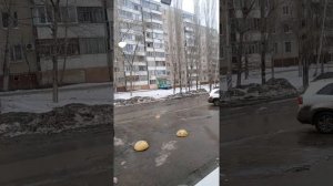 Чикун вернулся в Саратов