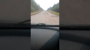 Дорога Железногорск-Илимский-Новая Игирма