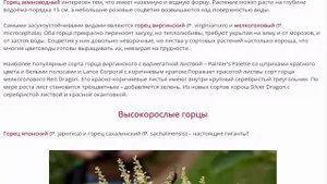 Горец головчатый, виргинский и мн  др.  Удивительный мир горцев.