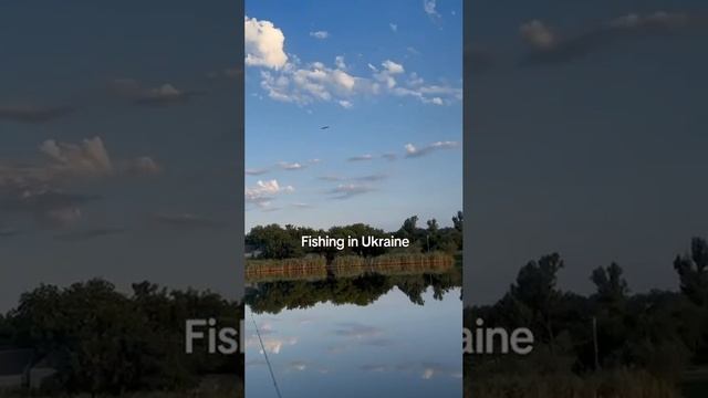 Рыбалка на Украине смотреть онлайн