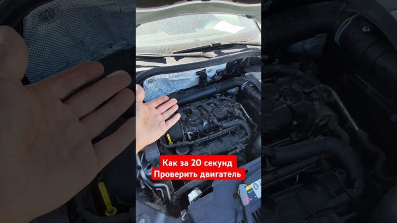 Народный метод определения состояния двигателя.