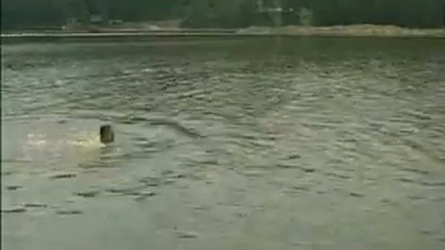 Безопасность прежде всего! Правила поведения на воде