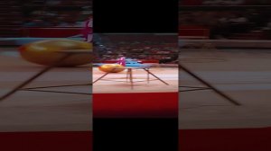 ЕДИНСТВЕННЫЙ В МИРЕ АТРАКЦИОН С ДРЕССИРОВАННЫМИ КАНАДСКИМИ ПУМАМИ   !!!!!!!!!!