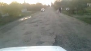 Васильевский район село Орлянка