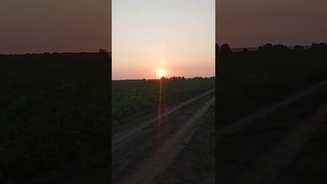 Катаюсь на даче в свой ДР смотреть онлайн