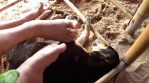 Паттайя. Заселились в отель Mövenpick Siam Na Jomtien Pattaya