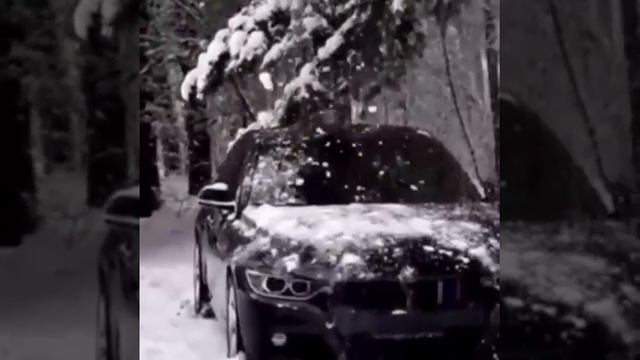 BMW . Чёрный Пантера смотреть онлайн