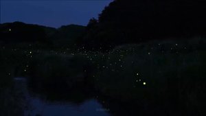 Александр Климов "Вместе быть" авторская песня