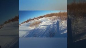 Охота на зайца в Оренбургской области.